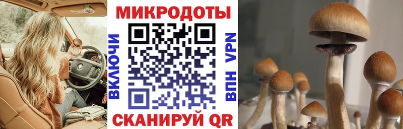 купить наркотик Советская Гавань Псилоцибиновые грибы GOLDEN TEACHER
