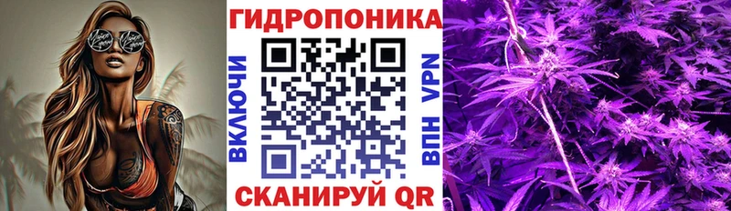 даркнет сайт  Советская Гавань  Шишки марихуана тримм 